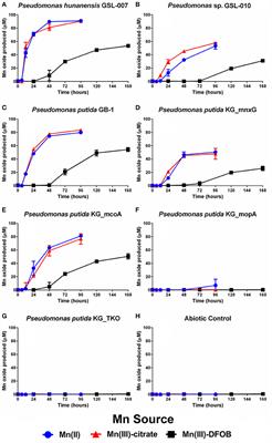 Oxidative Formation and Removal of Complexed Mn(III) by Pseudomonas Species